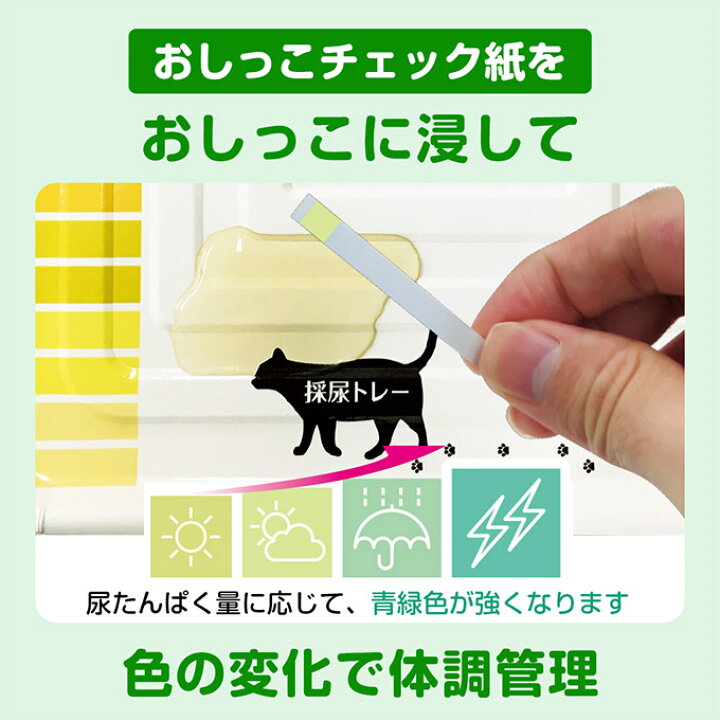 楽天市場 4 16 1 59まで 要エントリーp2倍 猫用 システムトイレ用 デオトイレ おうちで おしっこ チェック キット 健康 体調 管理 病気 セルフ チェック メンテナス 維持 採尿 尿タンパク 色 変化 ペッツビレッジクロス ペット通販