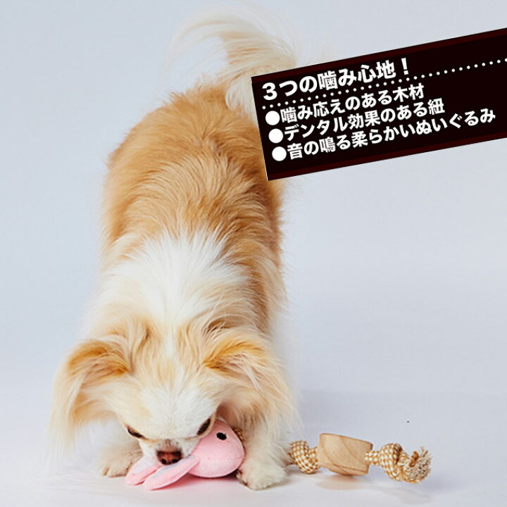 市場 犬用おもちゃ アドメイト リングadd Mate ウッディロープトイ