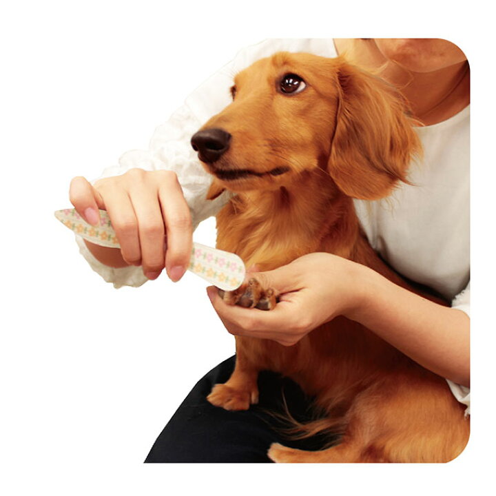 170円 74 Off ニューハニースマイル 犬用 カーブ 爪切り ミニ ドギーマン