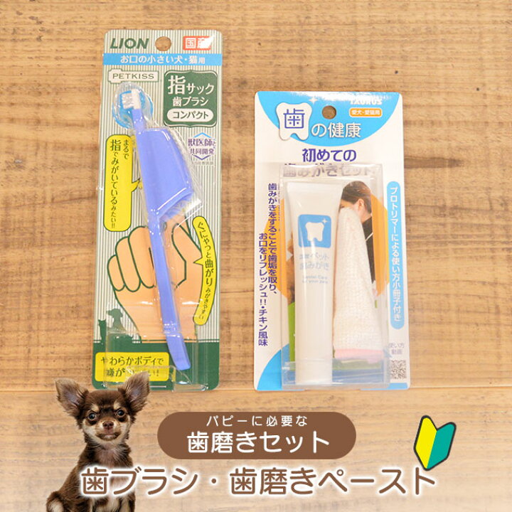 WEB限定 ペットキッス デンタルブラシ コンパクト 2本セット LION ペットキッス ベッツドクタースペック 犬用デンタルガム M 14本