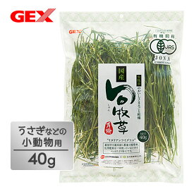 �������������ϸ夹���˴��礵����ܴ���ˡ�ǡ�����������̣�褯�ž夲�ޤ���