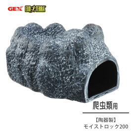 楽天市場 トカゲ 隠れ家の通販