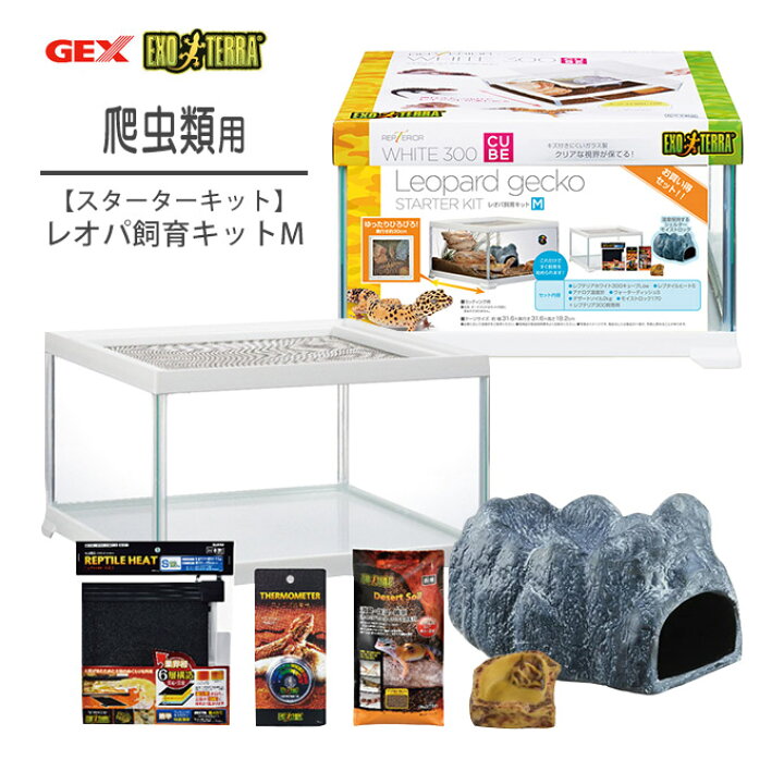 楽天市場 8 1限定全品p2倍 Gex ジェックス レオパ 飼育キット M 小動物 爬虫類 ヒョウモントカゲモドキ スターターキット 初めて 初心者 ケージ ハウス ペッツビレッジクロス ペット通販