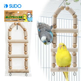 SUDO ��Ļ�֥�󥳢��̤����Τ����������򤷤���