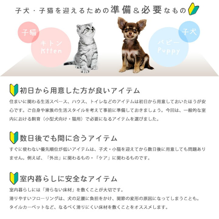 楽天市場 7 10限定 最大p10倍 キトン に 必要な お手入れ セット 猫用 ペティオ Necoco 猫壱 お手入れ ケア つや出し ブラシ 子猫 ブラッシング 爪切り 爪きり ペット 飼う 準備 迎える ペッツビレッジクロス ペット通販 楽天市場 7 10限定 最大p10倍 キトン に 必要な お手入れ セット 猫用 ペティオ Necoco 猫壱 お手入れ ケア つや出し ブラシ 子猫 ブラッシング 爪切り 爪きり ペット 飼う 準備 迎える ペッツビレッジクロス ペット通販
