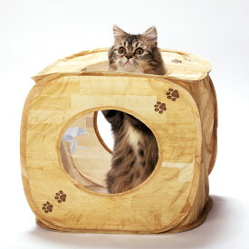 猫壱 キャットプレイキューブ