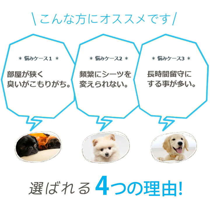 楽天市場】11/1限定全品P2倍&最大1111円オフクーポン|ペットシーツ 厚型 炭入り消臭 レギュラー ワイド スーパーワイド 1ケース ペットシーツ 国産 厚手 【同梱不可】 PTS : ペッツビレッジクロス〜ペット通販 楽天市場】11/1限定全品P2倍&最大1111円オフクーポン|ペットシーツ 厚型 炭入り消臭 レギュラー ワイド スーパーワイド 1ケース ペットシーツ 国産 厚手 【同梱不可】 PTS : ペッツビレッジクロス〜ペット通販