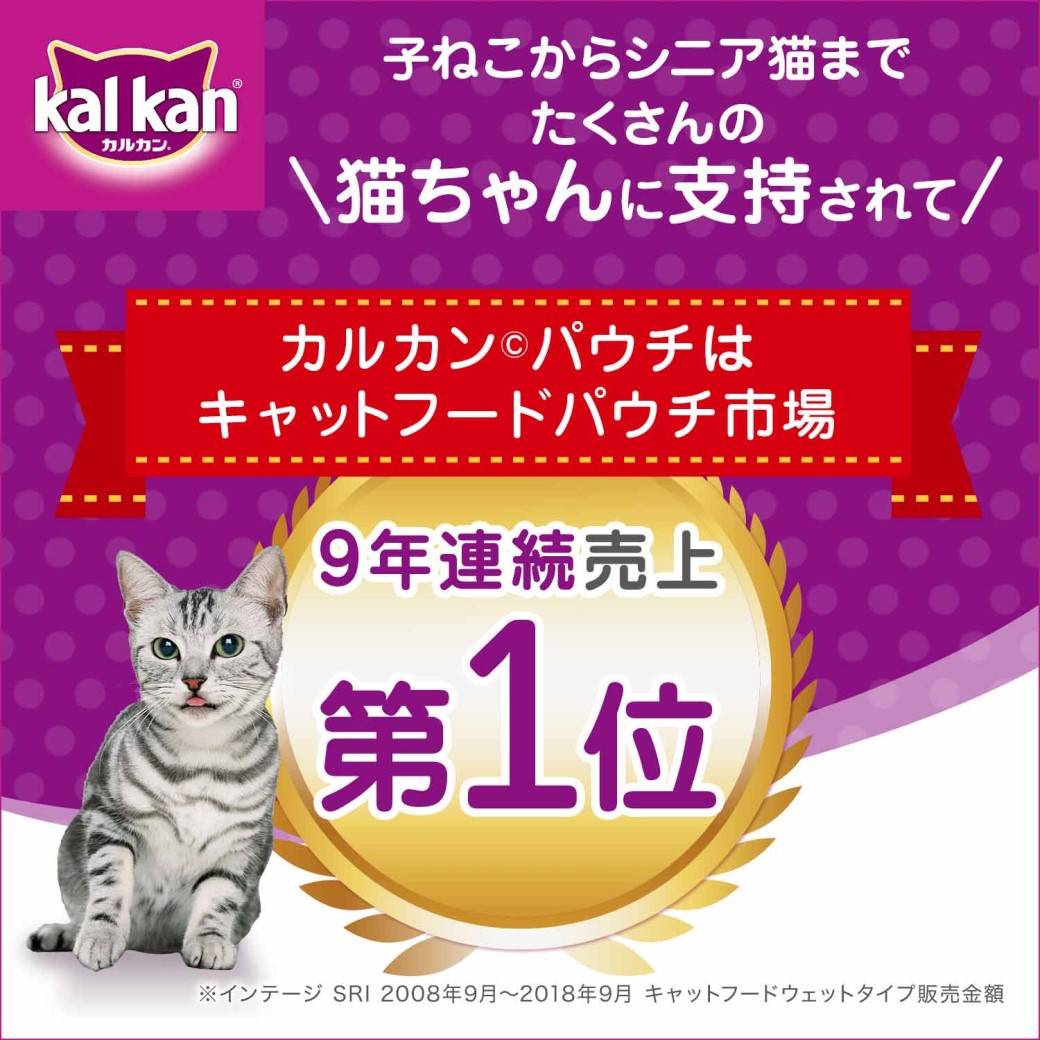 95%OFF!】 カルカン Kalkan パウチ ウェットフード 高齢猫 70g シニア