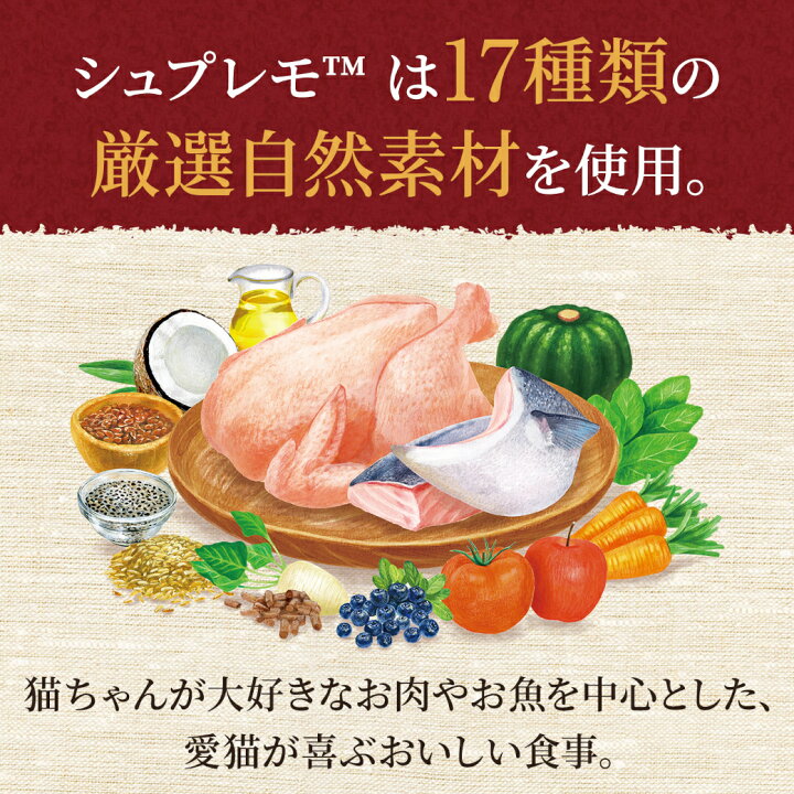 楽天市場】ポイント最大10倍！4/4 20:00〜4/10 01:59まで｜公認店 