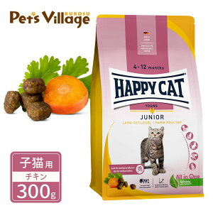 nbs[Lbg O qLp WjA t@[ |g[ `L 300g