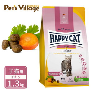 nbs[Lbg O qLp WjA t@[ |g[ `L 1.3kg 