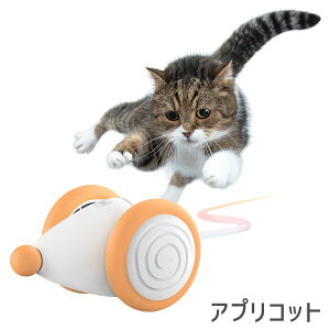 |CgSi2{I12/1bEBLbhE}EX WFCu[EAvRbg