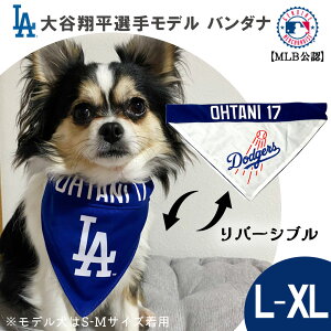 MLB T[X hW[X JĕI胂f p o[Vuo_i L-XLTCY