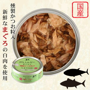 |Cgő10{I12/4 20:00`12/11 01:59܂ŁbȂ܂̓`V[Y 70g×24