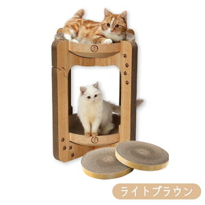 |Cgő10{I12/4 20:00`12/11 01:59܂ŁbL oo{E ^[ p܂ƂZbg Lpynecoichiz [܂Ƃ]