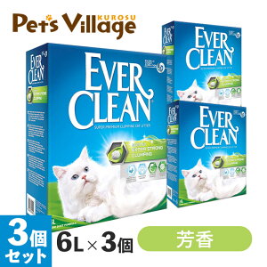 |Cgő10{I12/4 20:00`12/11 01:59܂ŁbGo[N[  F ח 6L×3Zbg  gC  zn xgiCg (KAi)yEVER CLEAN)z[L] ybcrbWN