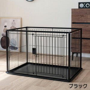 |CgSi2{I12/1bb`F CeAybgT[N 90-60 pyRichellz [T[N P[W] ^ ^