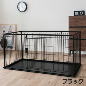 |CgSi2{I11/1bb`F CeAybgT[N 120-60 pyRichellz [T[N P[W] ^ ^