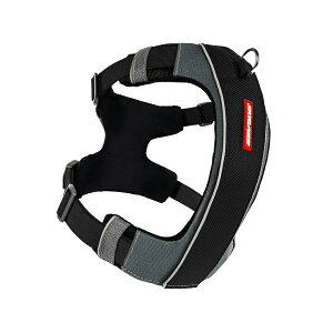 |Cgő10{I11/4 20:00`11/11 01:59܂ŁbC[W[hbO EZYDOG GbNXNn[lX XL