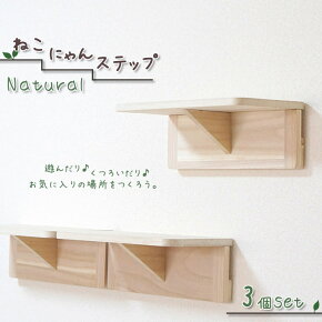 ǭ���� ����åȥ��