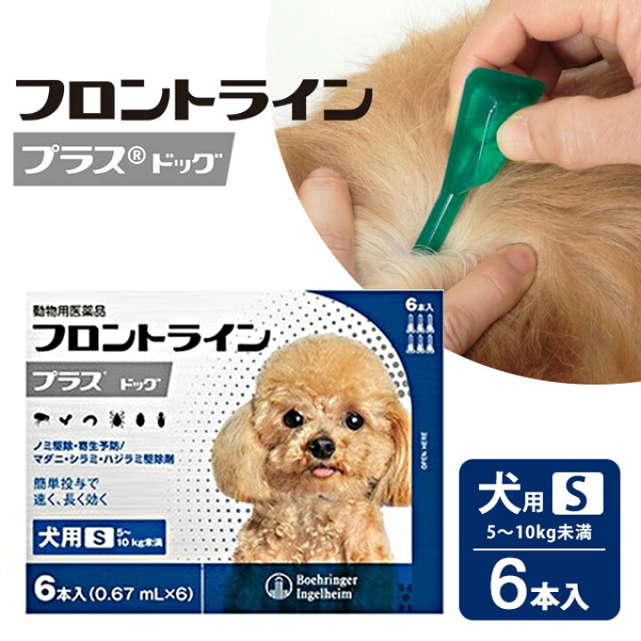 楽天市場 フロントラインプラス 犬用 S 6p 動物用医薬品 ノミ ダニ シラミ駆除 送料無料 同梱不可 ペッツビレッジクロス ペット通販