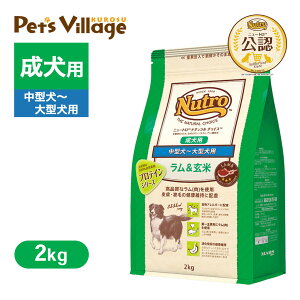  FX j[g i` `CX  ^`^p p 2kg ͂  yi``CX(NATURAL CHOICE)z[hbOt[h]