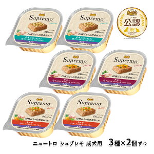 j[g VvgC p 100g×6Zbg ͂  yVv(Supremo)z[hbOt[h]