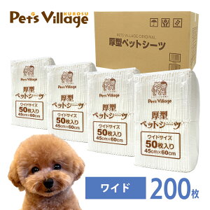 |Cgő10{I12/4 20:00`12/11 01:59܂Łb^ zCgybgV[c 1P[X M[400 Ch200 X[p[Ch100ypz [gCV[g] ܂Ƃߔ IWi ybgV[