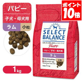 セレクトバランス パピー 子犬用 ラム 小粒 1kg