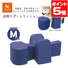 アロン化成 OneAid ワンエイド 姿勢サポートクッション M 送料無料