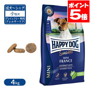 nbs[hbO ZVu ~j tX OCt[  AM[PA ^ `VjAp 4kg 