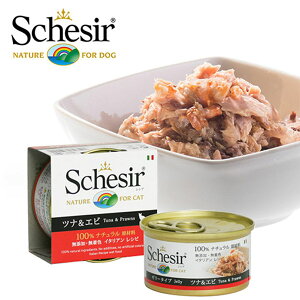 VVA L Schesir Lbgt[h ciGr [[^Cv 85g