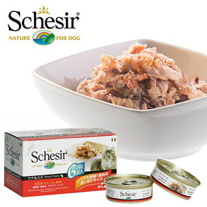 VVA L Schesir Lbgt[h ciGr [[^Cv }`pbN 50g×6P