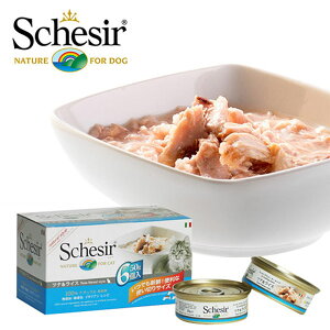 VVA L Schesir Lbgt[h ciCX NbLOEH[^[^Cv }`pbN 50g×6P