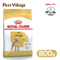 楽天市場】ロイヤルカナン bhn プードル 子犬用 生後10ヵ月齢まで 800g 