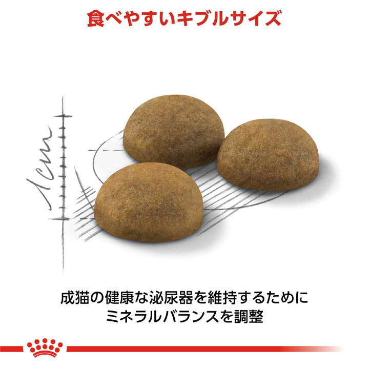 楽天市場】まとめ買いでお得！ ロイヤルカナン FHN インドア ロング 