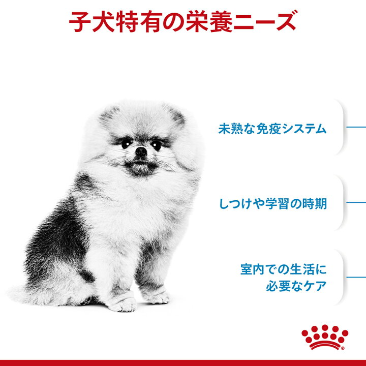 楽天市場】10/25限定【最大P10倍&1000円OFFクーポン】ロイヤルカナン ドッグフード ミニインドア パピー 小型犬 室内犬用 2kg 犬 旧インドアライフジュニア ドライフード 子犬用 小型犬 ROYAL CANIN : ペッツビレッジクロス〜ペット通販 楽天市場】10/25限定【最大P10倍&1000円OFFクーポン】ロイヤルカナン ドッグフード ミニインドア パピー 小型犬 室内犬用 2kg 犬 旧インドアライフジュニア ドライフード 子犬用 小型犬 ROYAL CANIN : ペッツビレッジクロス〜ペット通販