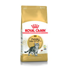 �ʾ��ʲ�����