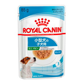 �ʾ��ʲ�����