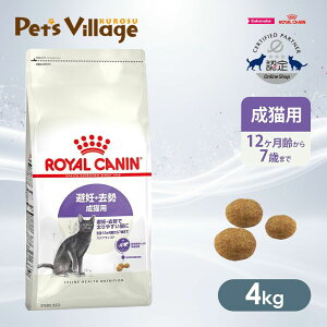 ܂ƂߔłICJi FHN XeACYh DE Lp 127΂܂ 4kg ͂ сyROYAL CANINz[Lbgt[h] FICVbv