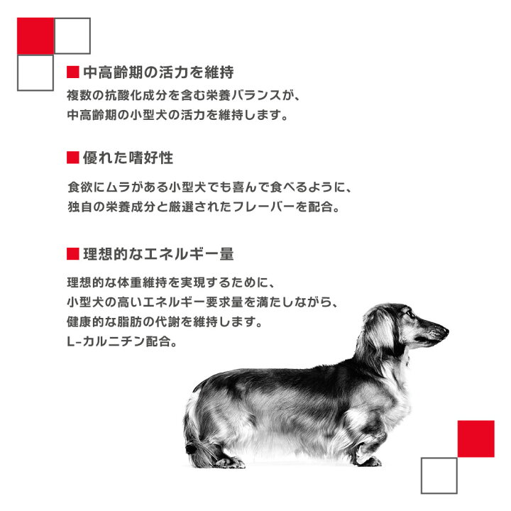 楽天市場 ロイヤルカナン ドッグフード ミニアダルト 8 中高齢犬用 2kg 犬 ドライフード 高齢犬 シニア 小型犬 ペットフード ドックフード ミニアダルト Royal Canin ペッツビレッジクロス ペット通販