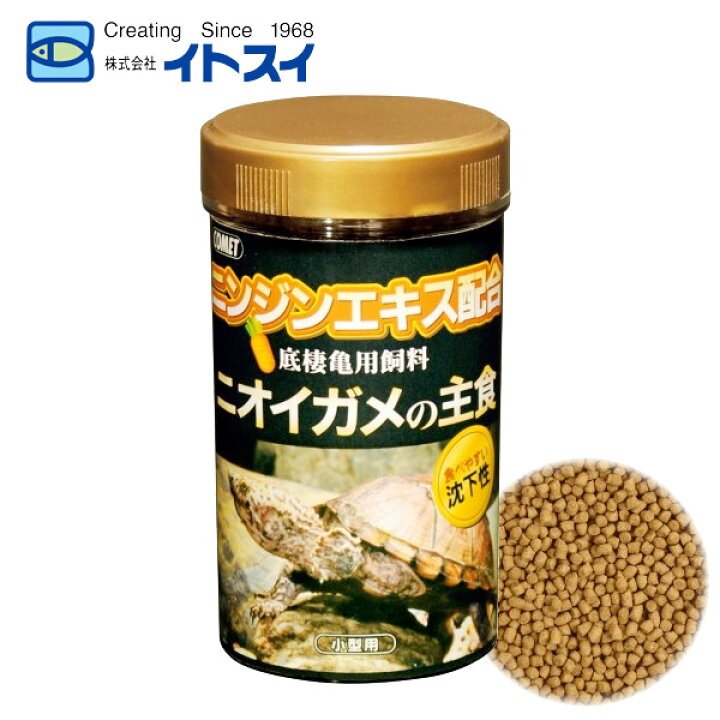 楽天市場 7 10限定 最大p10倍 イトスイ ニオイガメの主食 小型用 55g カメ 亀 かめ 爬虫類 フード ごはん えさ 給餌 イトスイ カメ飼育用品 水槽 アクアリウム テラリウム ペッツビレッジクロス ペット通販