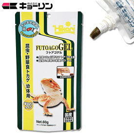 �����ա���