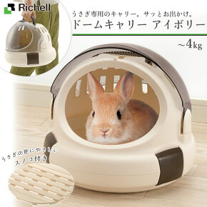 ��å����� ���������� �ɡ��७��꡼ �����ܥ꡼