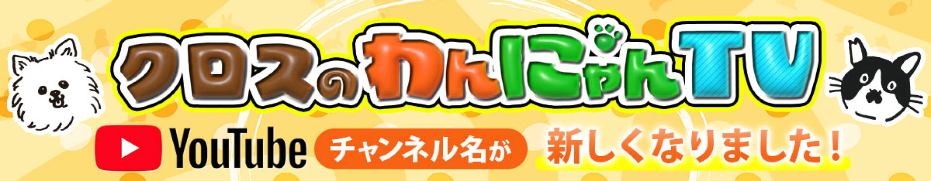 ペットの知らない世界ユーチューブスタート！