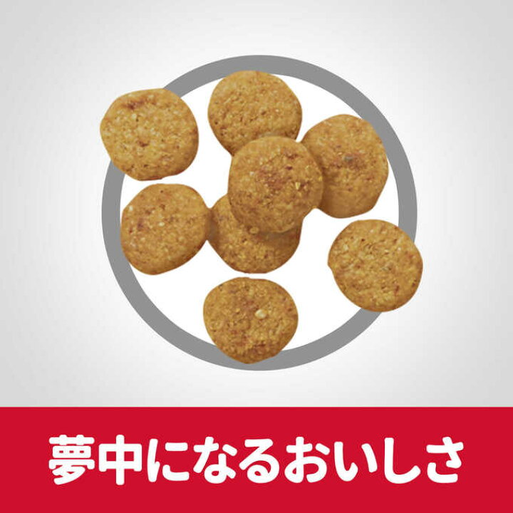 グローリードッグ アース 0g オランダ産 ゴートミルク シニア ヤギミルク 低脂肪 手作り食 栄養補給 無添加 犬 猫 粉末 老犬用 肥満犬 ビッグ割引 無添加