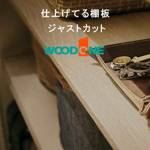 TtI Ebh WXgJbgI[_[u ؖڕ Ivy 300`2,400mm܂1mmPʂŔ\Iz×ms145A250A300A350A400A450A600mmnJ[I y6ʎdグz20mm d