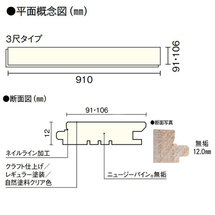 女子高生　断面図　無修正 