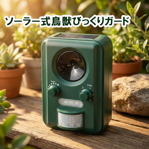 ZteB|3u \[[bтK[hv SSTJ-1 L悯 \[[ g A΍ ObY  JX΍   CmVV΍ ZT[CgQbފ   r[T