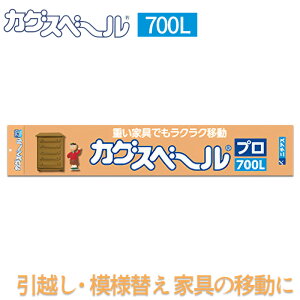 r[Ttj`AX JOXx[ v 700L 2{ 700mmx60mmx13mm z  ͗lւ ^ ^ ڐ ֗ObY